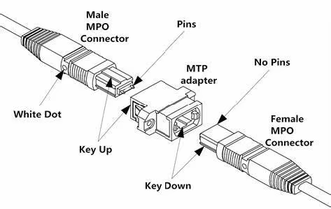 24F OM4 3.0mm LSZH MTP Connector Multimode MTP Patch Cord  Trunk Cable